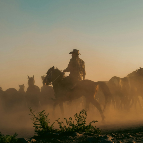 Cowboy te paard in warm landschap – YEEHAW Marketing